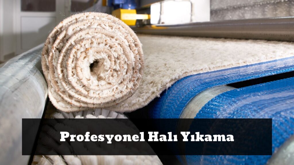 Profesyonel Halı Yıkama