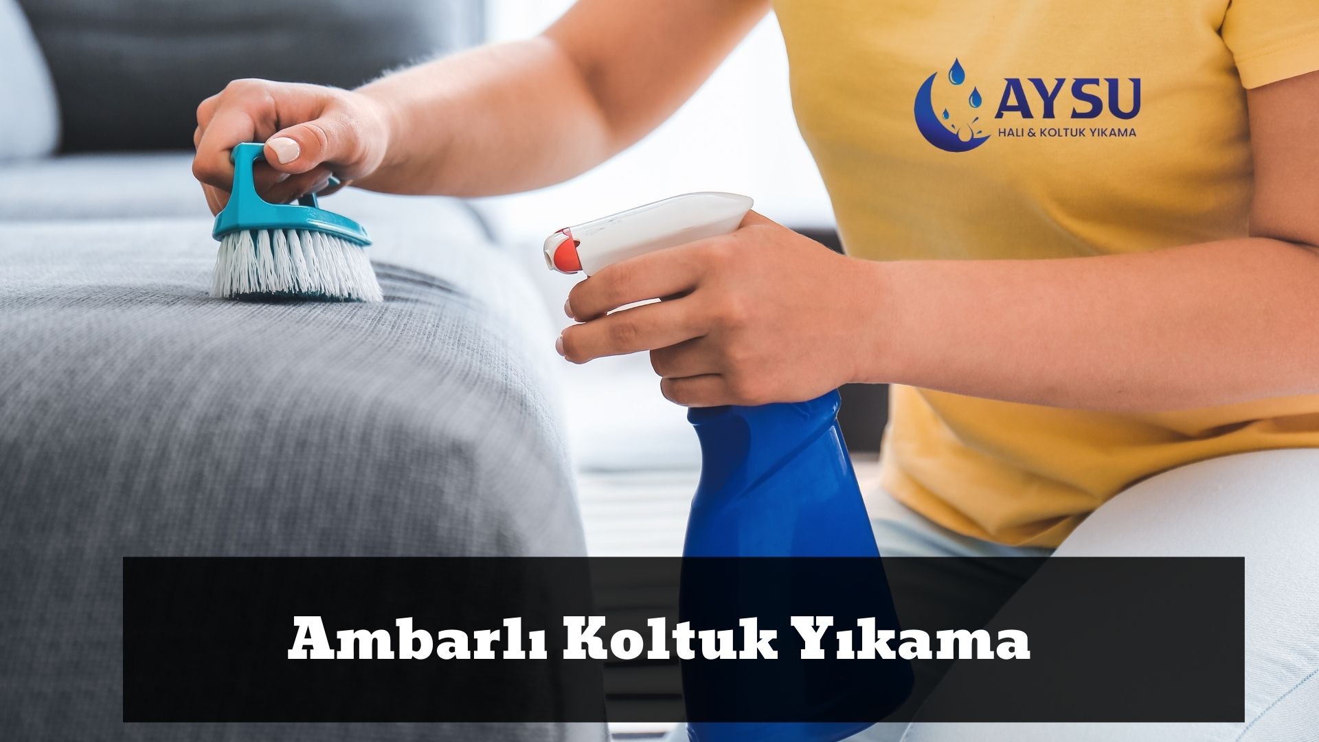 Ambarlı Koltuk Yıkama