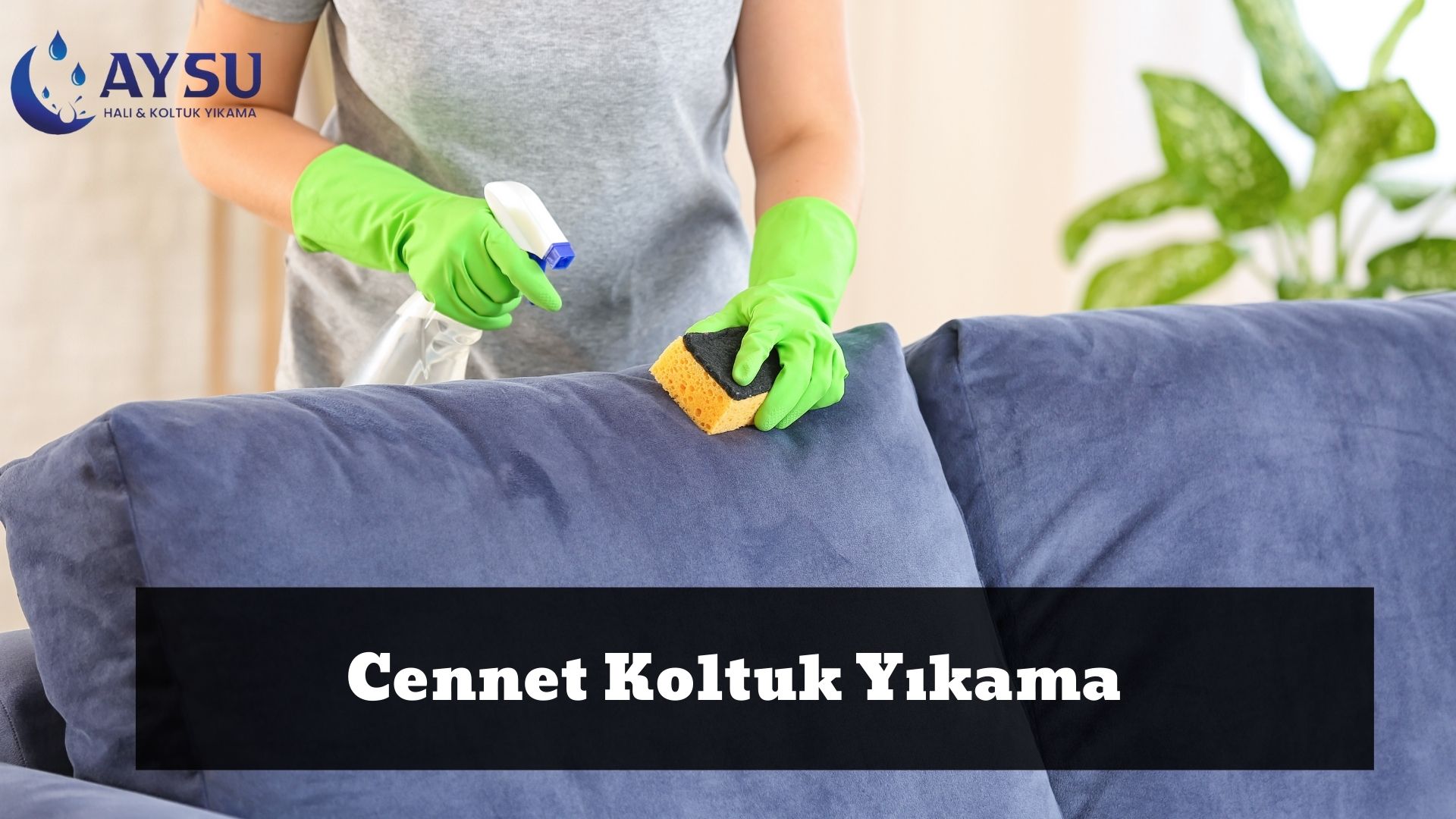  Cennet Koltuk Yıkama