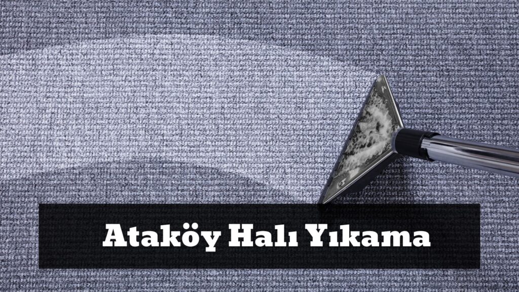 Ataköy Halı Yıkama