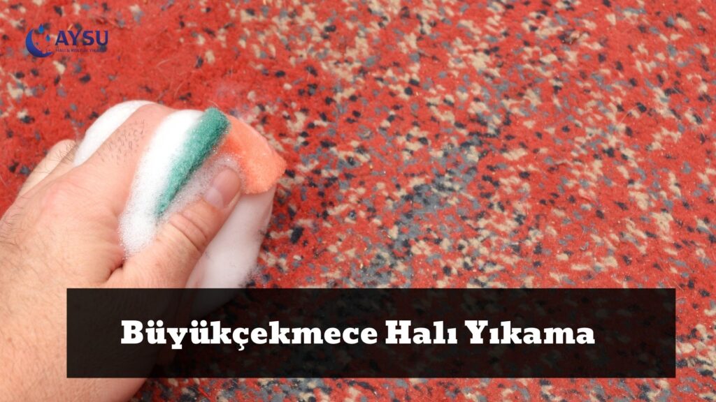 Büyükçekmece Halı Yıkama