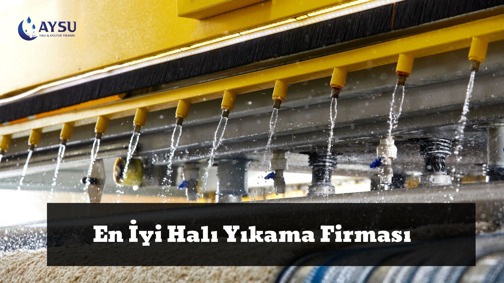 En İyi Halı Yıkama Firması