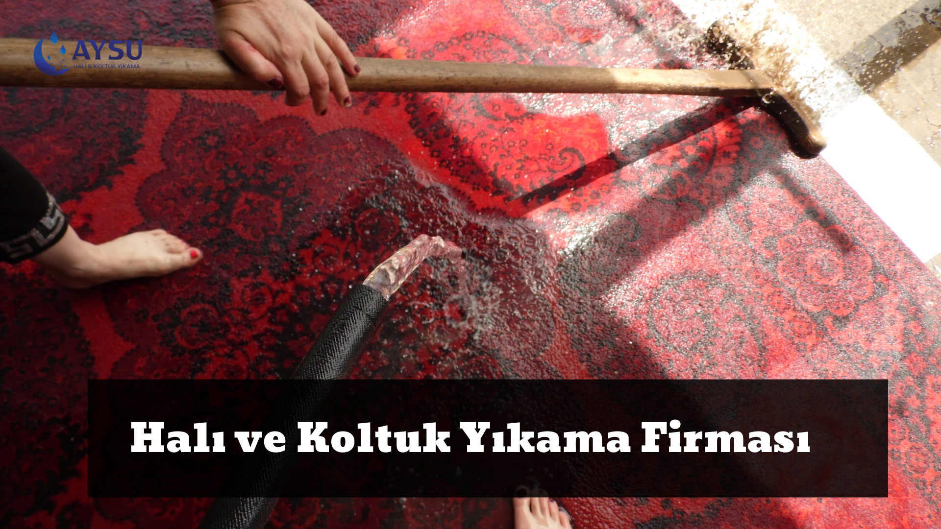 Halı ve Koltuk Yıkama Firması