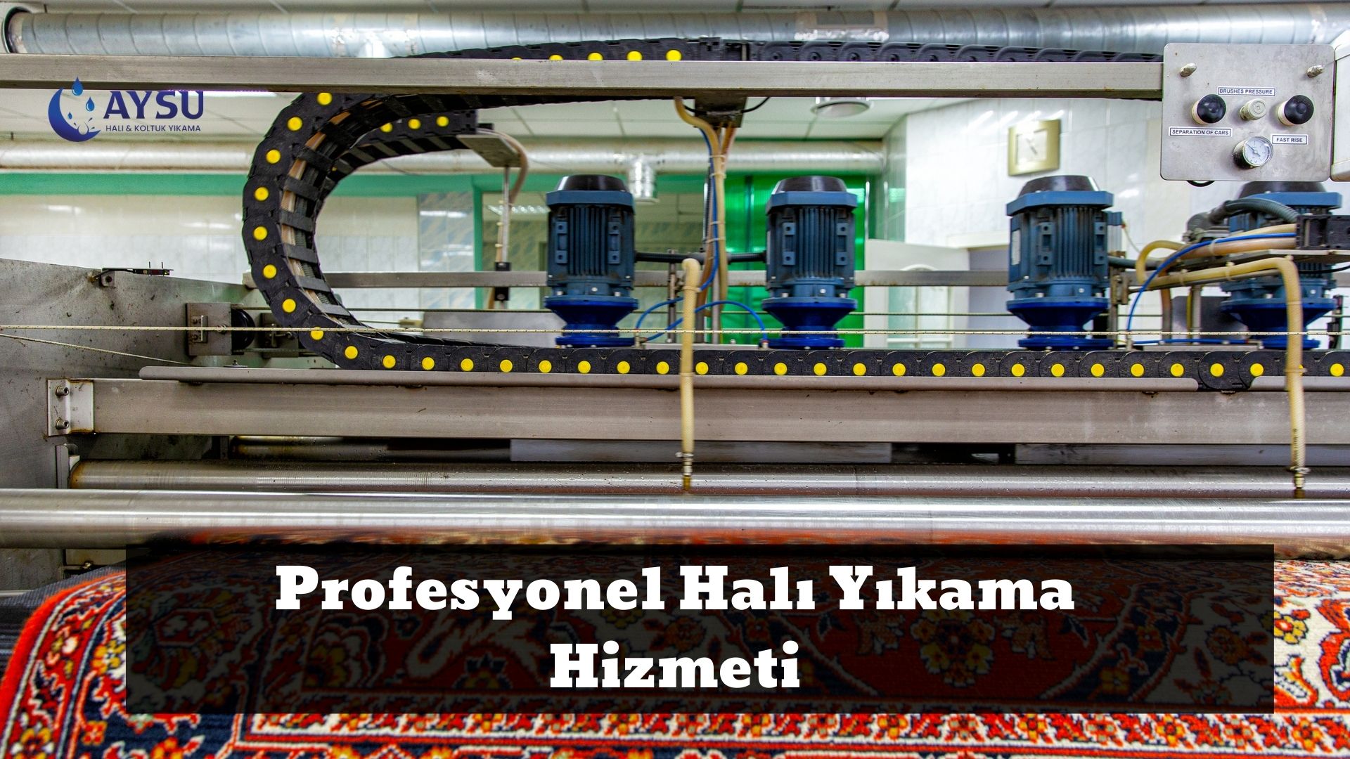 Profesyonel Halı Yıkama Hizmeti