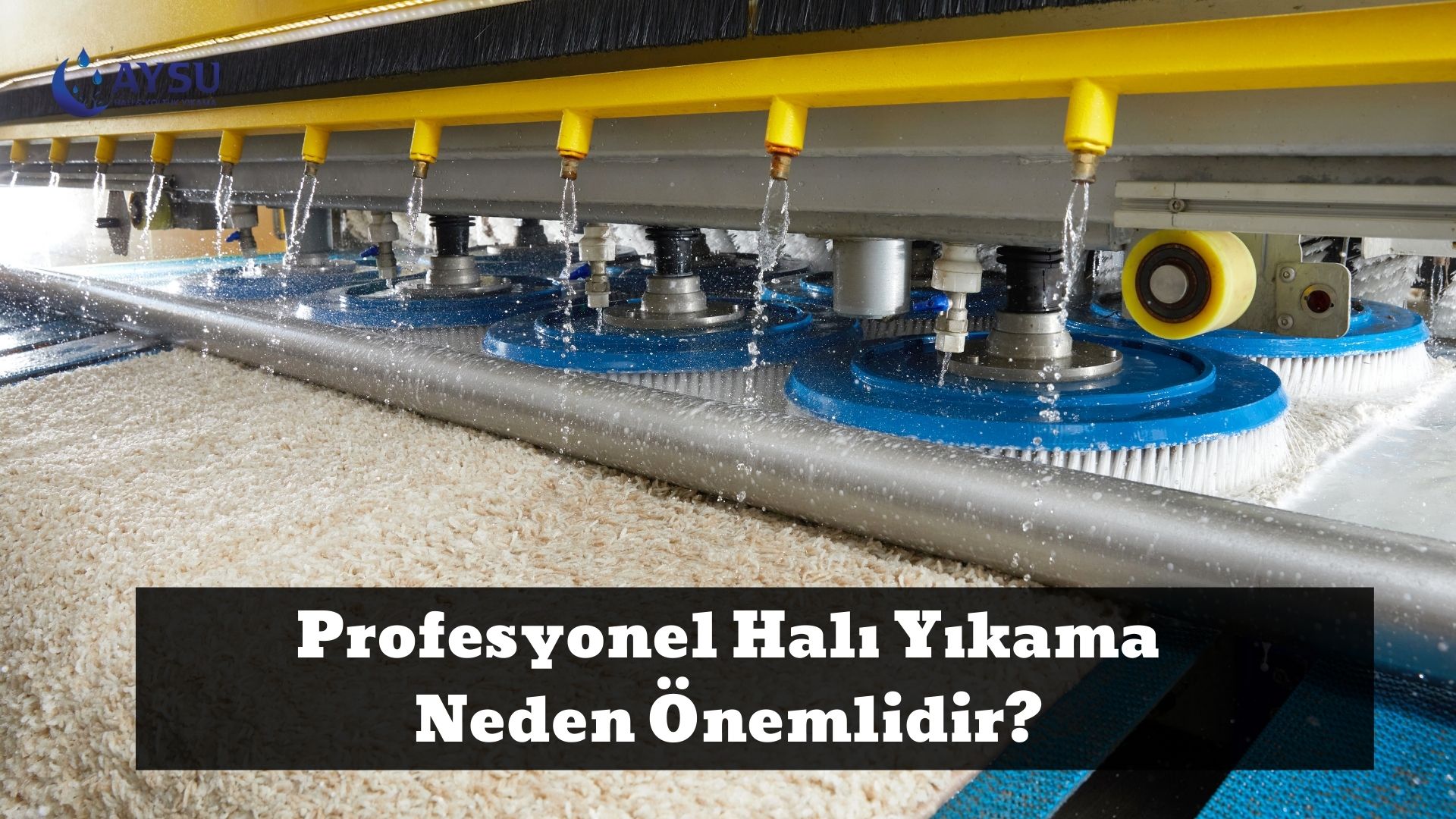 Profesyonel Halı Yıkama Neden Önemlidir_