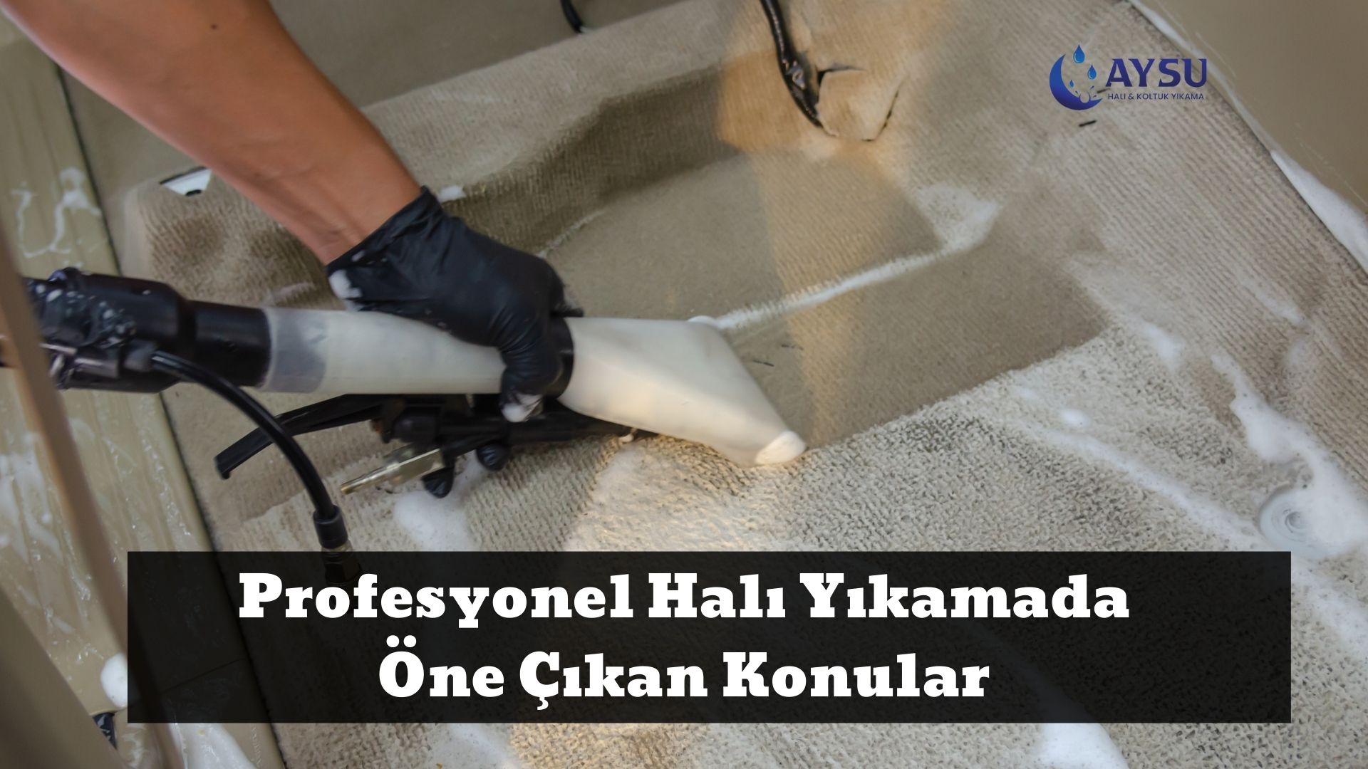 Profesyonel Halı Yıkamada Öne Çıkan Konular